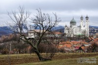 /album/biserica-pacii/a544991-538788896140992-401849453-n-jpg/