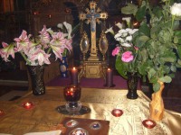 /album/biserica-pacii/s6303556-jpg/